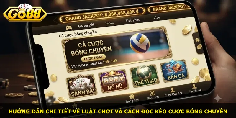 Hướng dẫn chi tiết về luật chơi và cách đọc kèo cược bóng chuyền