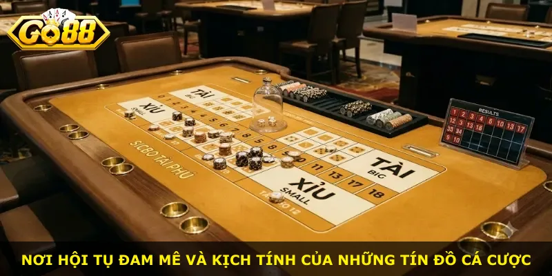 Nơi hội tụ đam mê và kịch tính của những tín đồ cá cược